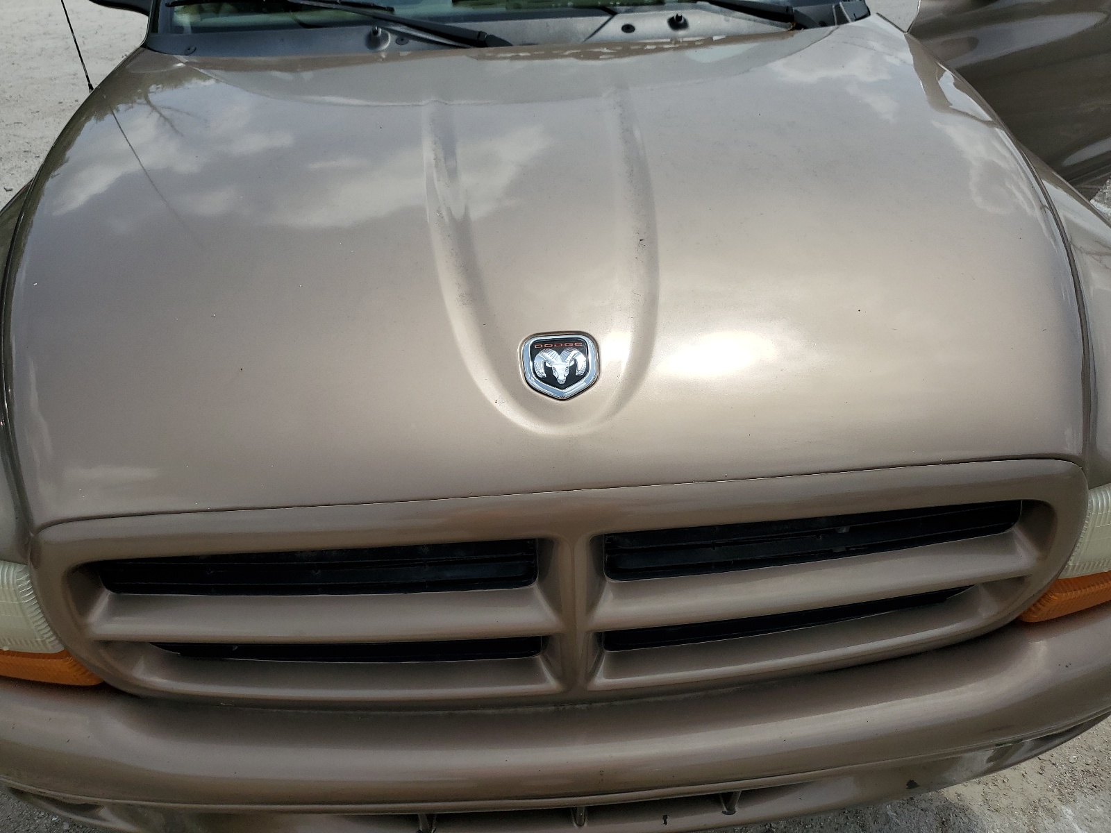 1B4HS28NXYF287863 2000 Dodge Durango