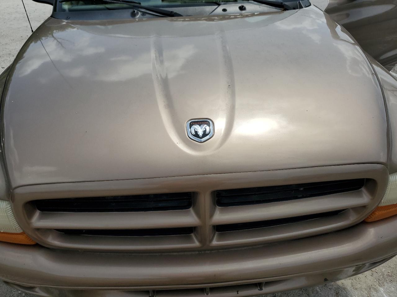 2000 Dodge Durango VIN: 1B4HS28NXYF287863 Lot: 65738214