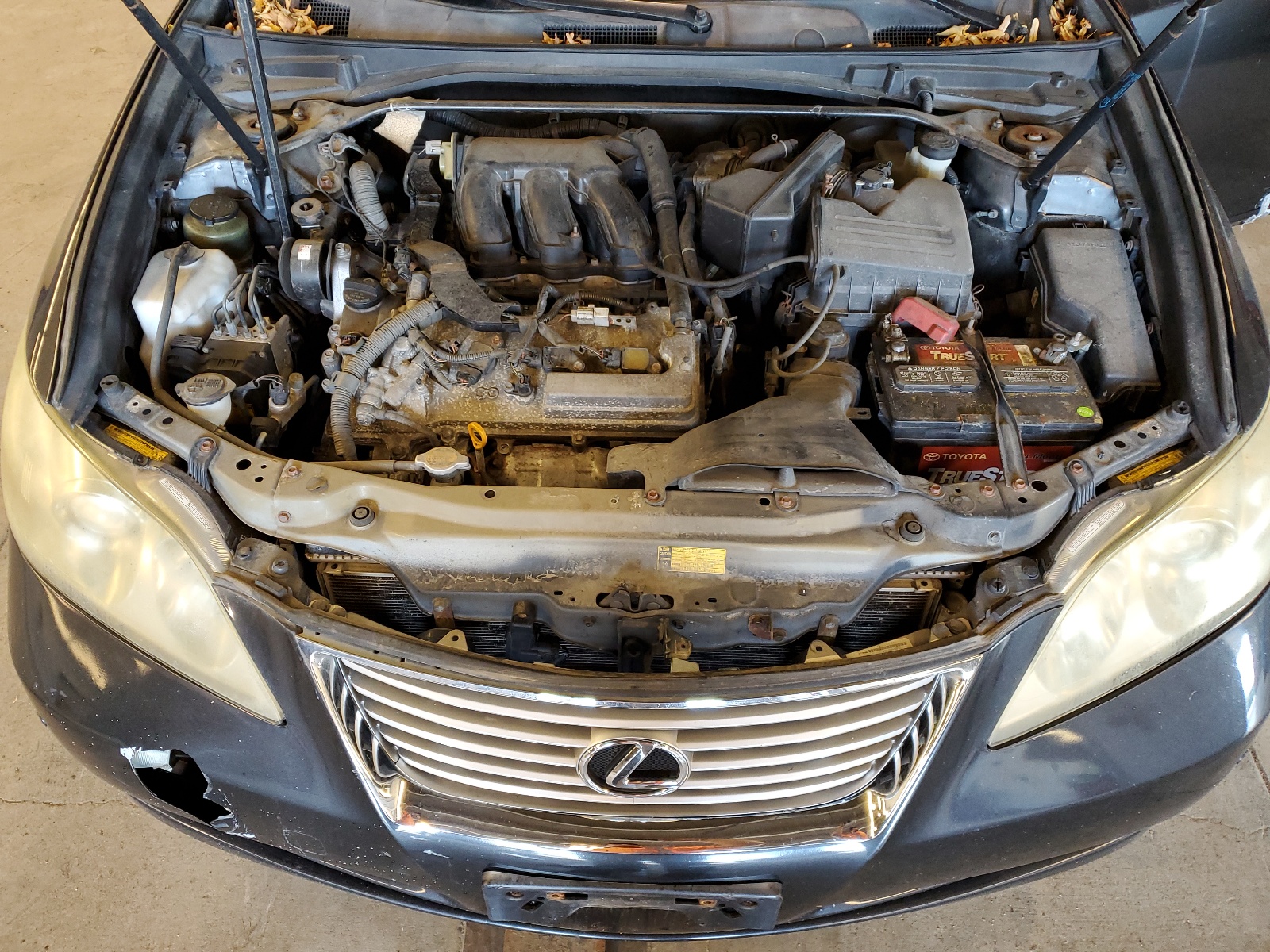 JTHBJ46G782170341 2008 Lexus Es 350