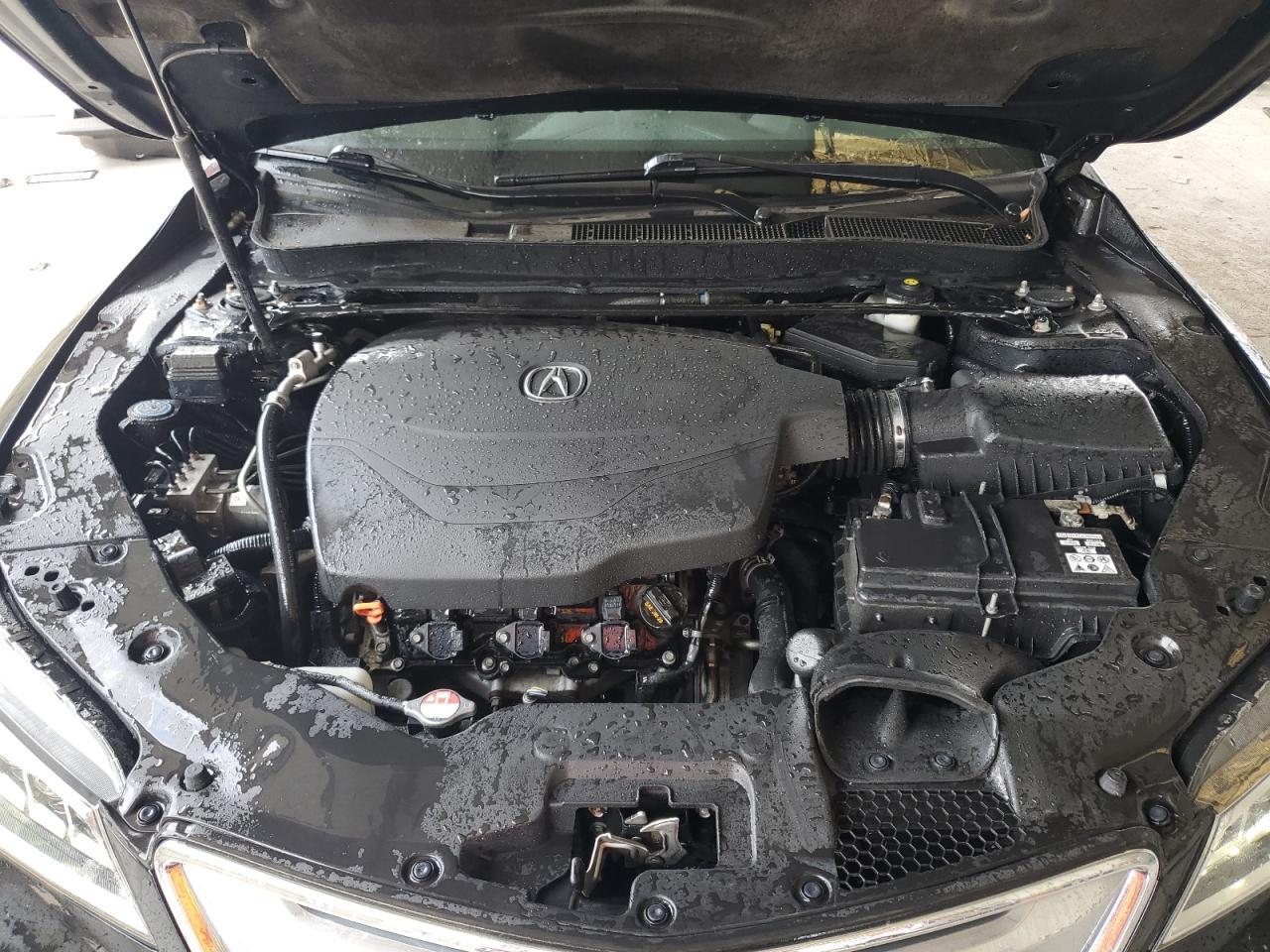 2015 Acura Tlx VIN: 19UUB2F30FA003798 Lot: 67160024