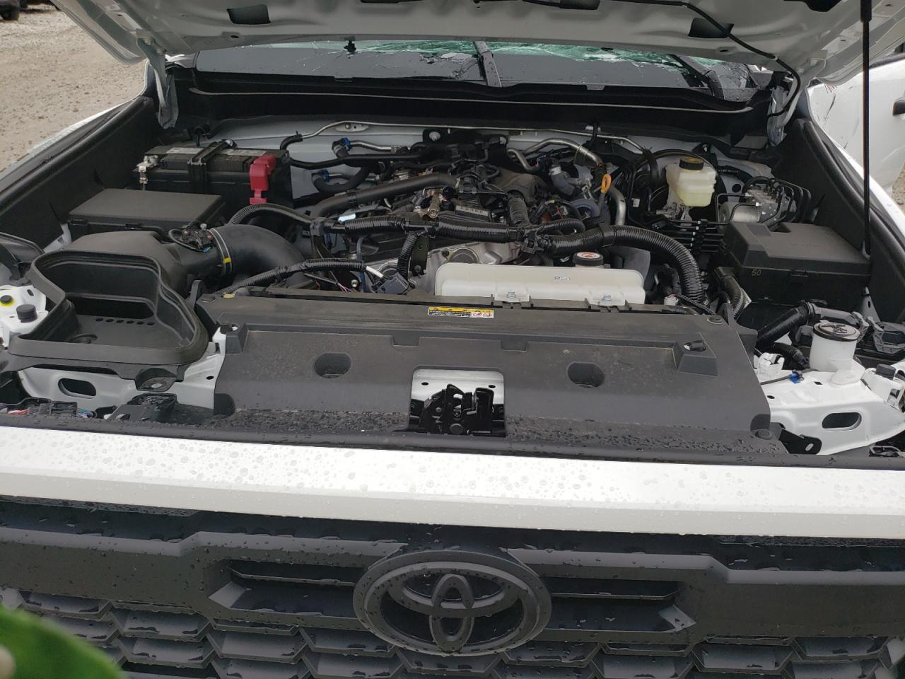 3TMLB5JN8RM012146 2024 Toyota Tacoma Double Cab