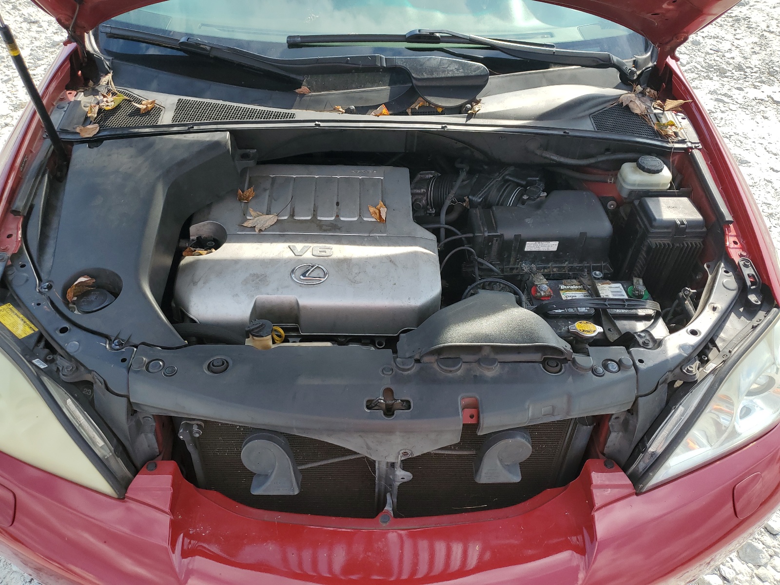 JTJGK31U799853142 2009 Lexus Rx 350