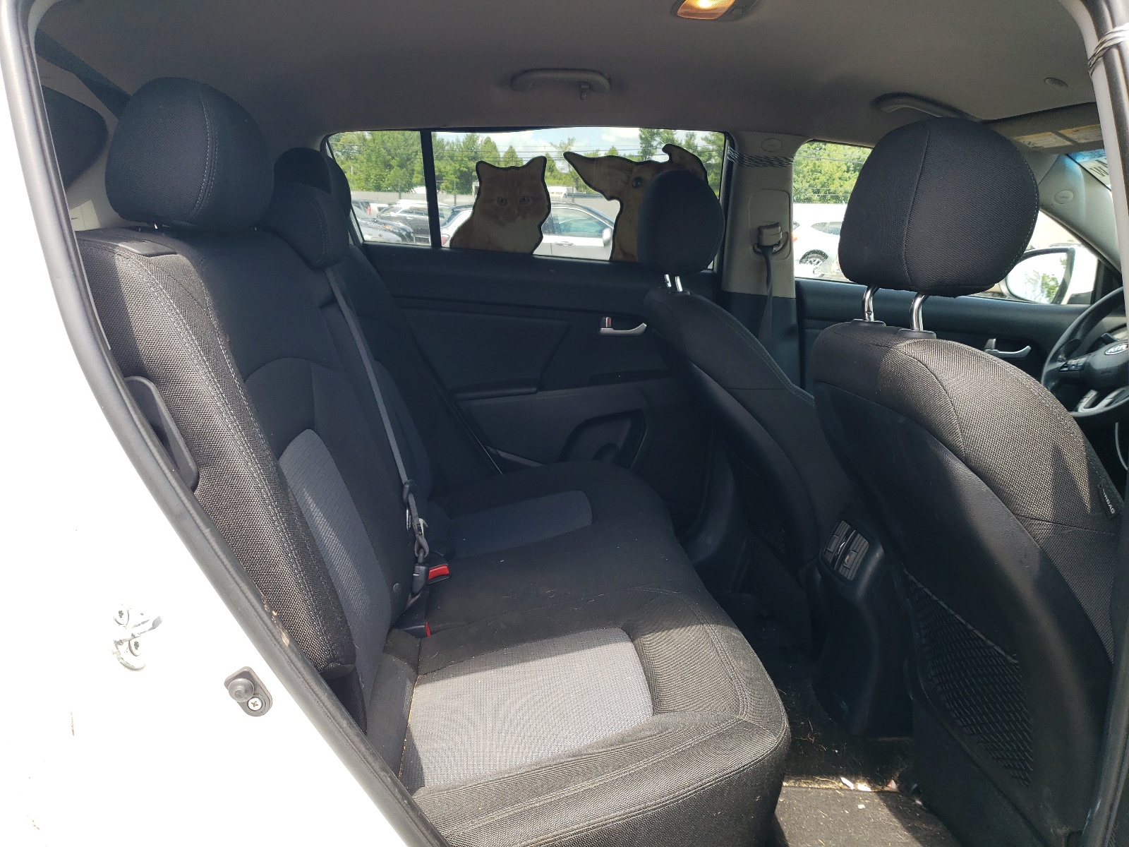 KNDPBCAC3E7574450 2014 Kia Sportage Lx