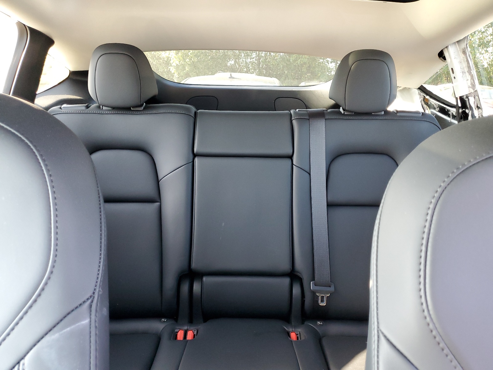 7SAYGDEE1PF621126 2023 Tesla Model Y