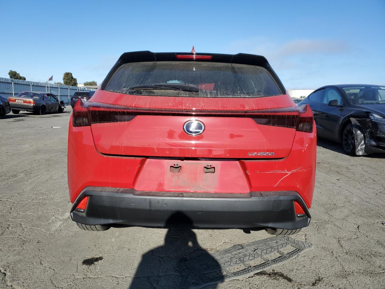 2019 Lexus Ux 250H VIN: JTHU9JBH9K2016008 Lot: 65228174