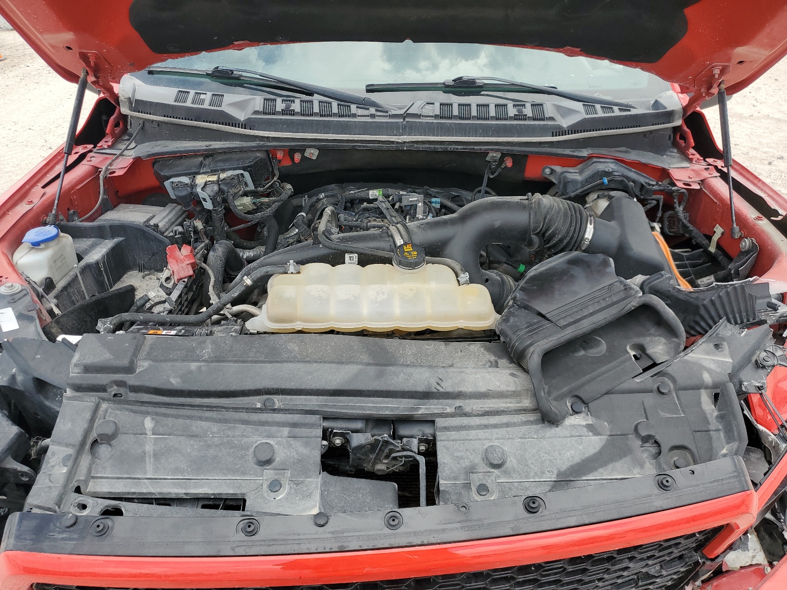 1FTEW1EPXKFD31846 2019 Ford F150 Supercrew