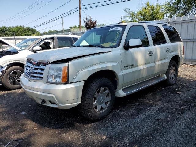 1GYEK63N03R149254 | 2003 Cadillac escalade luxury