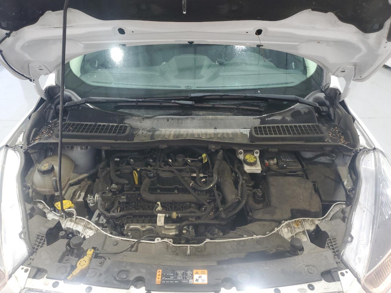 2019 Ford Escape Se VIN: 1FMCU0GD6KUC34497 Lot: 66172194