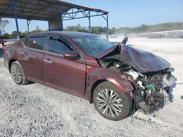  NISSAN ALTIMA 2023 Burgundy