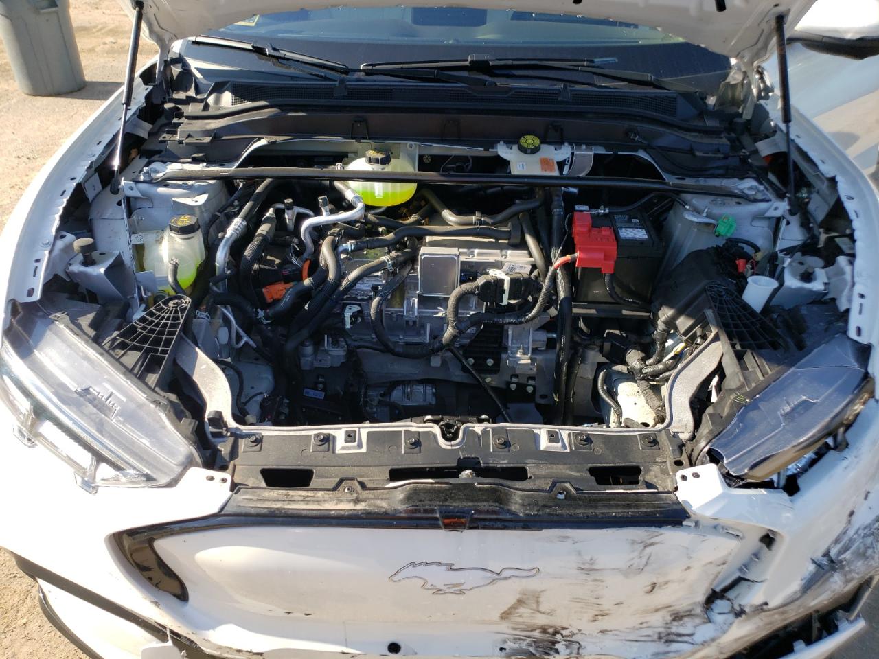 2022 Ford Mustang Mach-E Premium VIN: 3FMTK3SU9NMA56933 Lot: 65472044