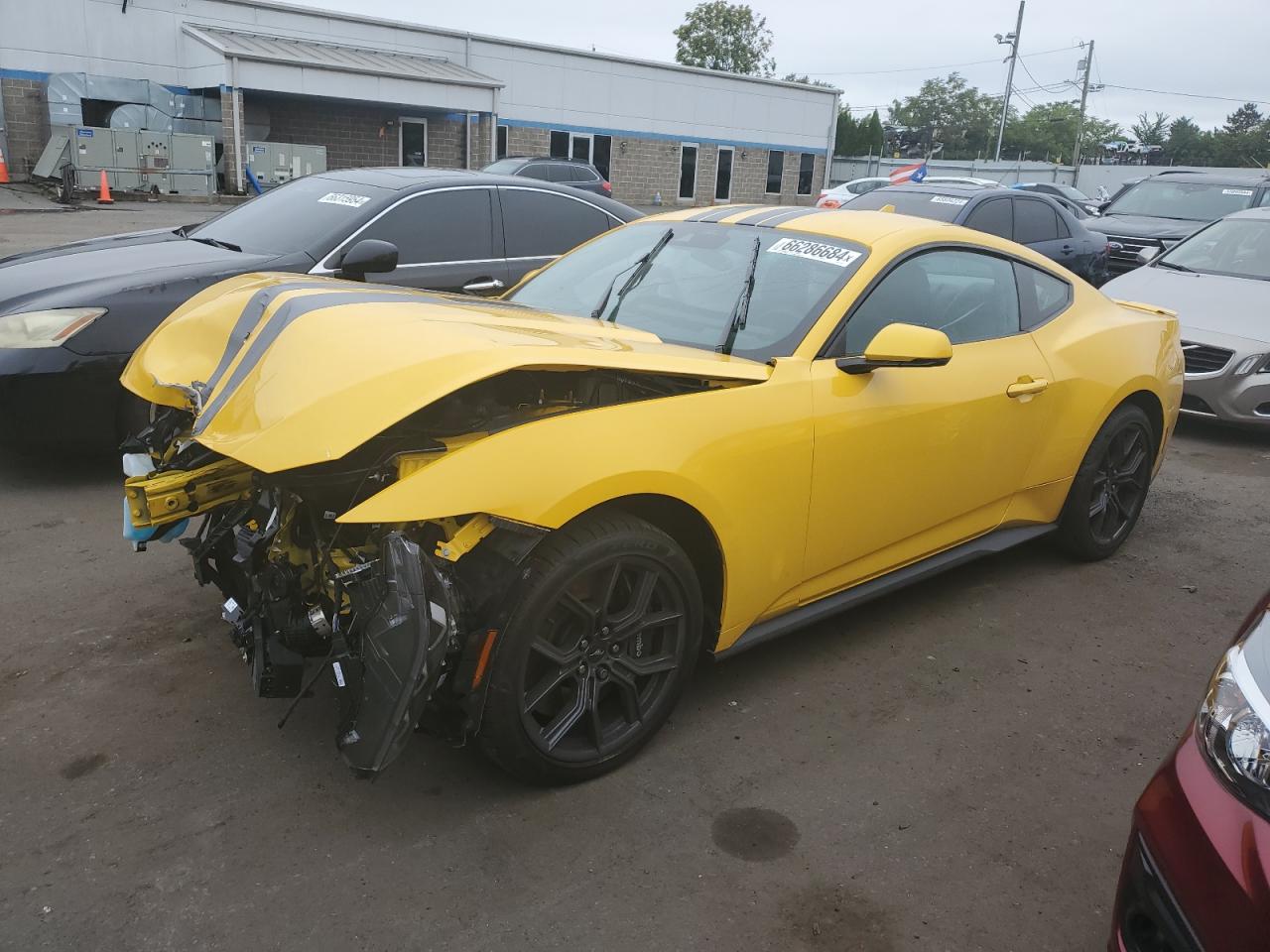 1FA6P8TH6R5104715 2024 FORD MUSTANG - Image 1