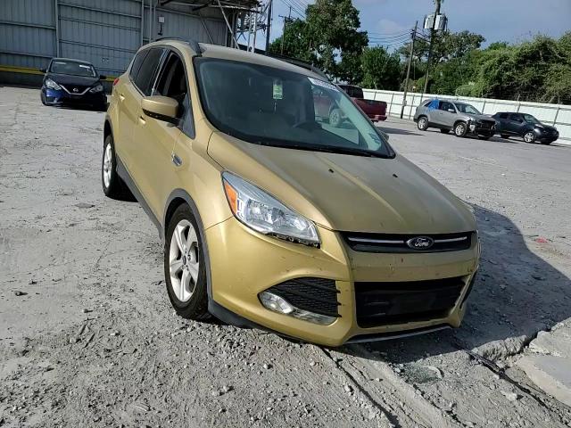 2014 Ford Escape Se VIN: 1FMCU0GX3EUC92274 Lot: 67399564