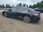 2017 Honda Accord Exl იყიდება Finksburg-ში, MD - Side