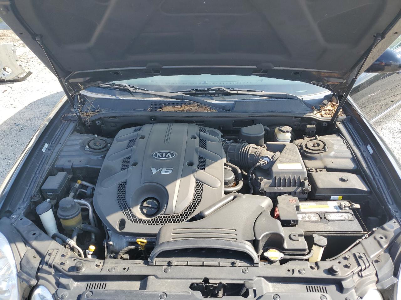 2009 Kia Amanti VIN: KNALD225195170144 Lot: 65571454