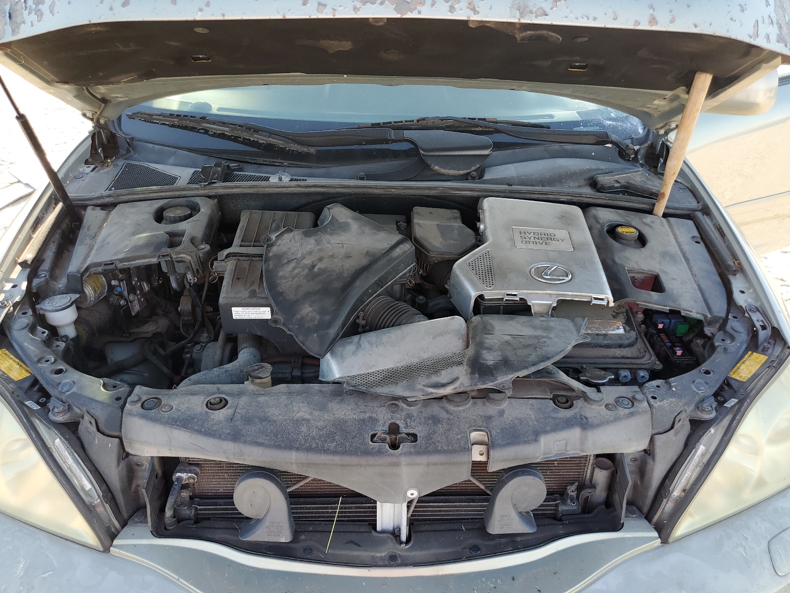 JTJGW31U660004219 2006 Lexus Rx 400