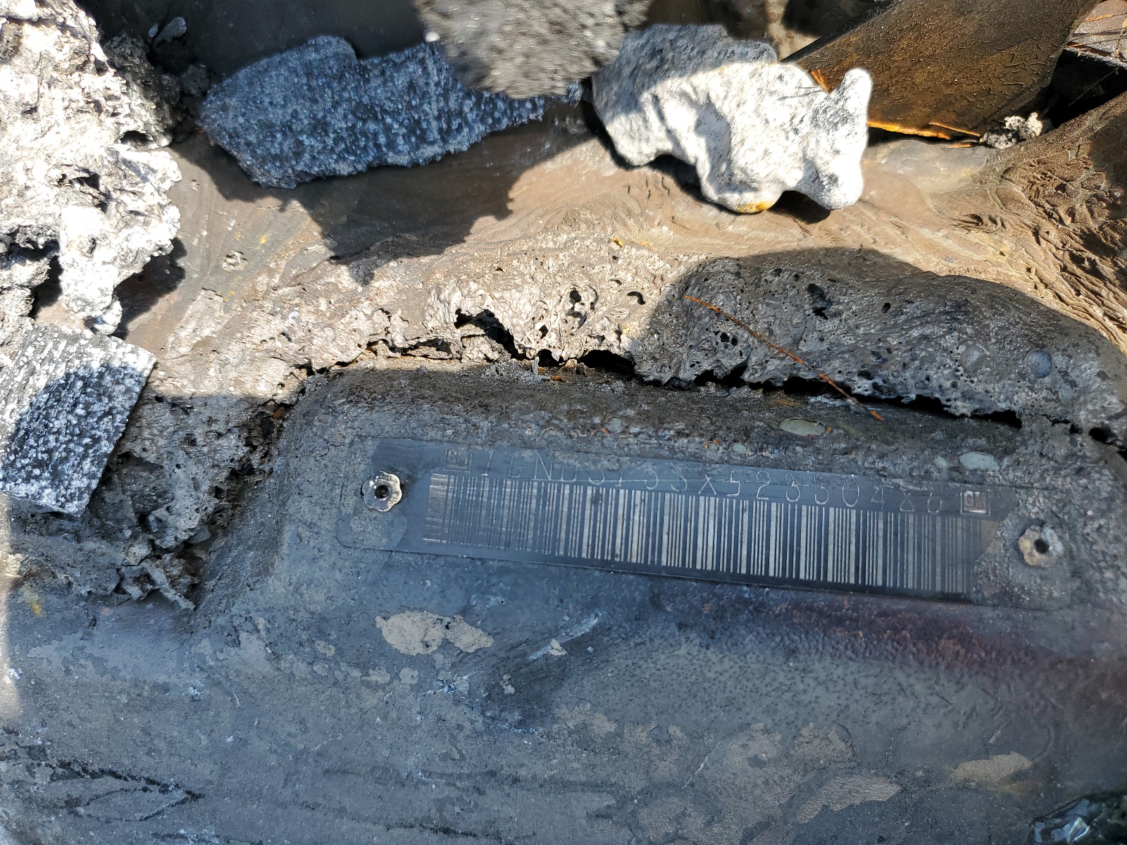 1GNDS13SX52330486 2005 Chevrolet Trailblazer Ls