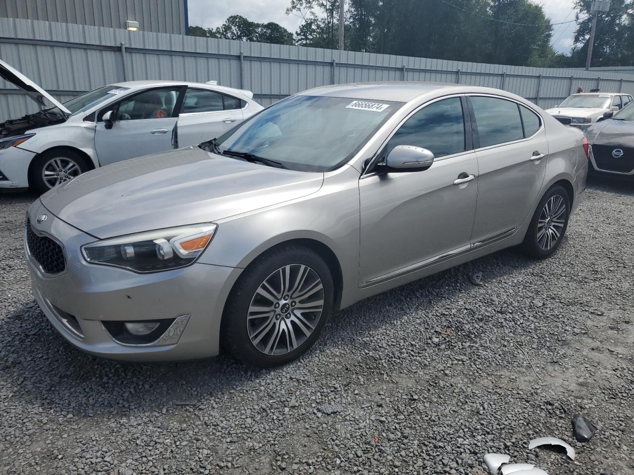 2014 Kia Cadenza Premium VIN: KNALN4D75E5131817 Lot: 66656874