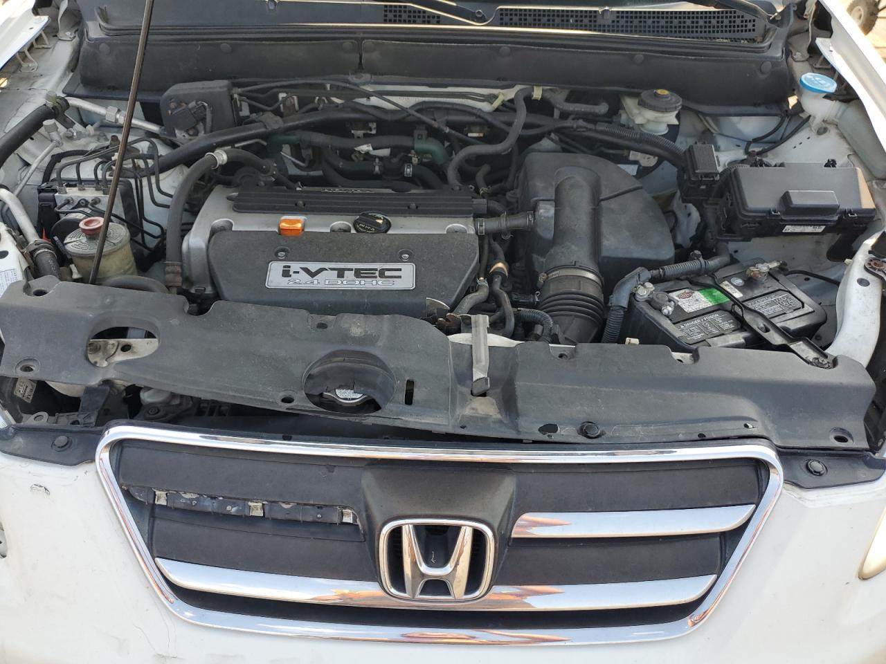 2006 Honda Cr-V Se VIN: SHSRD78916U405004 Lot: 65240474