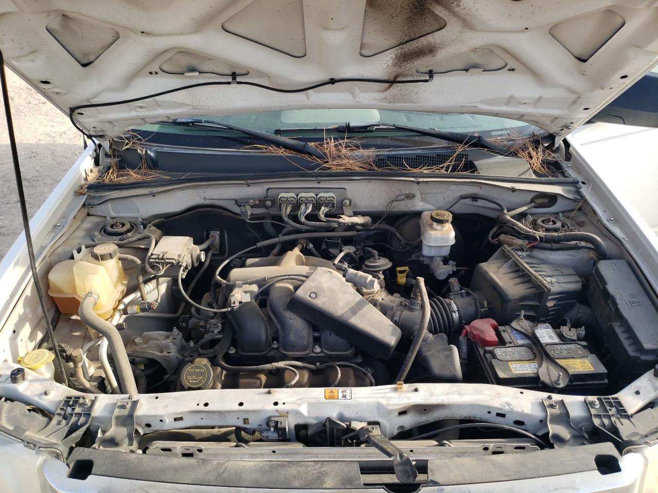 2008 Ford Escape Xlt VIN: 1FMCU03188KA43440 Lot: 65919604