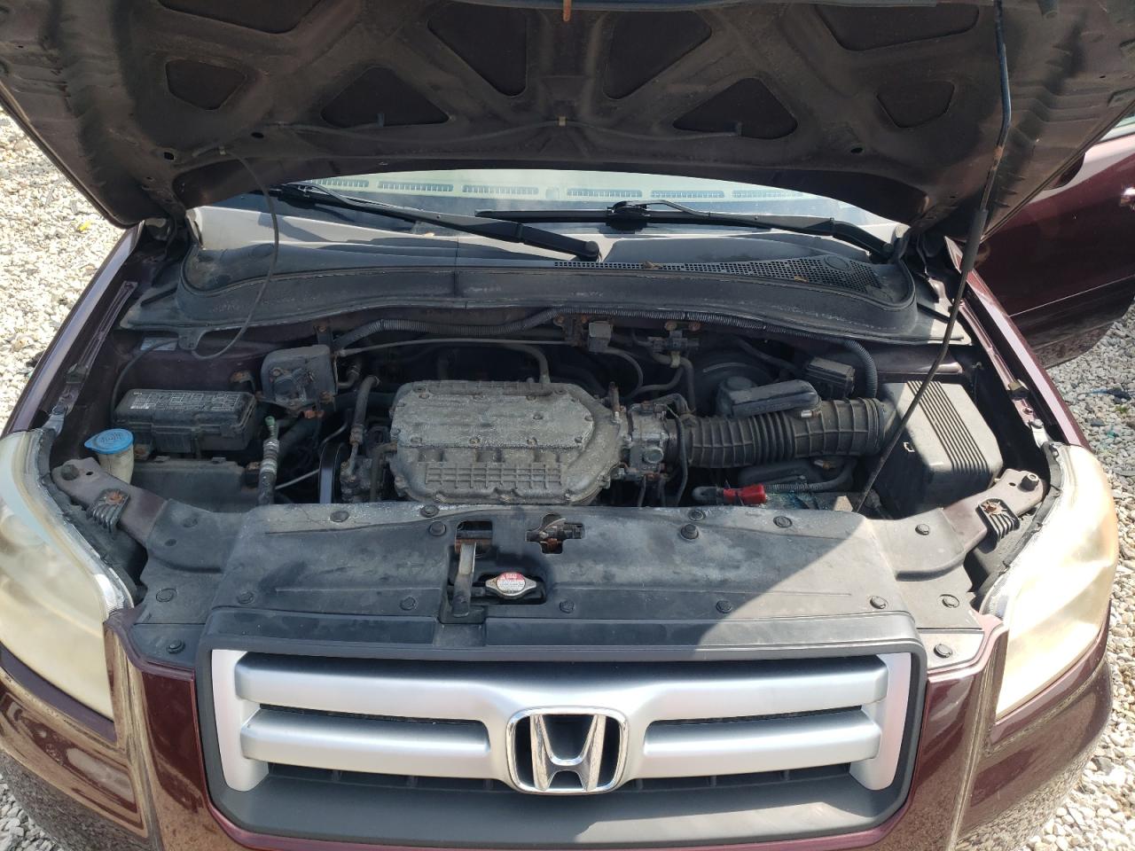 2007 Honda Pilot Ex VIN: 5FNYF184X7B010027 Lot: 65938514