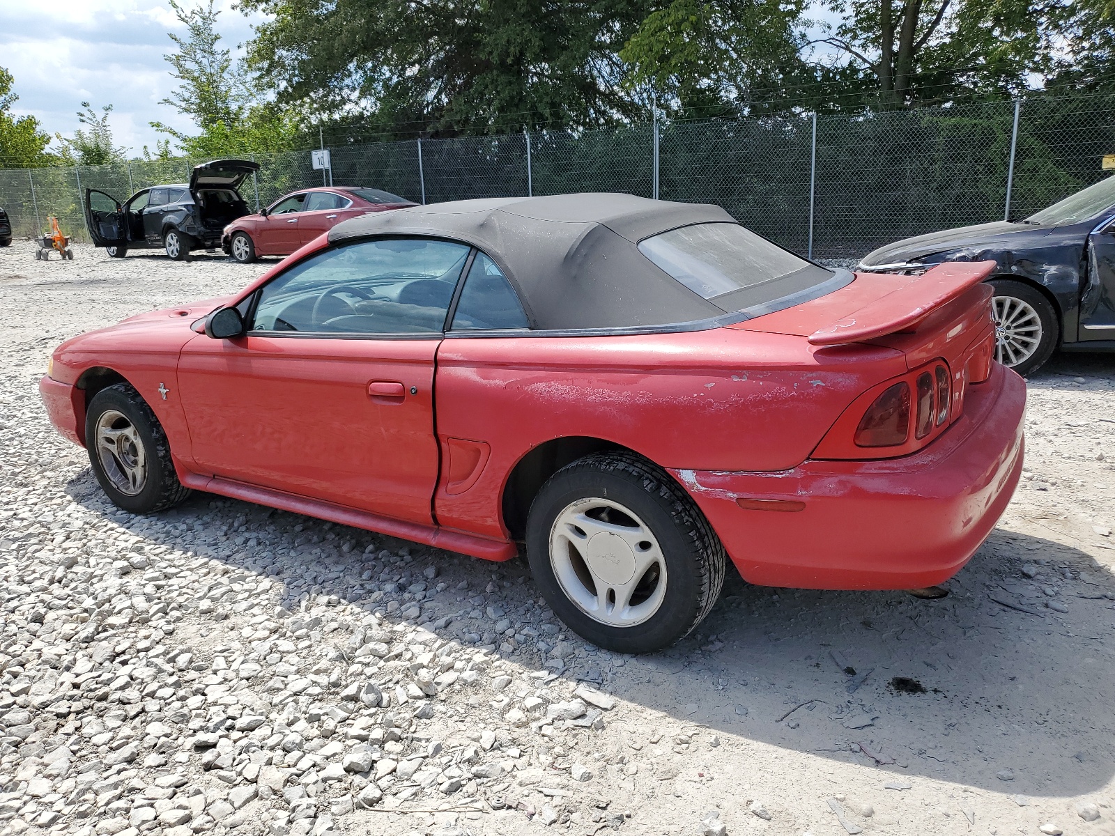 1FALP4442TF164984 1996 Ford Mustang