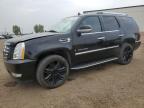 2007 CADILLAC ESCALADE LUXURY for sale at Copart AB - CALGARY