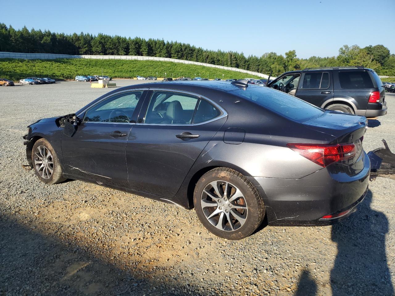 19UUB1F55GA006032 2016 Acura Tlx Tech