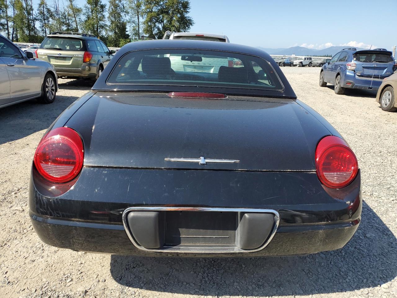 2004 Ford Thunderbird VIN: 1FAHP60A04Y108870 Lot: 66201714
