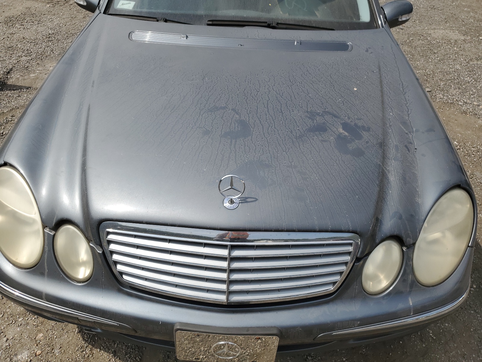 WDBUF56J06A966931 2006 Mercedes-Benz E 350