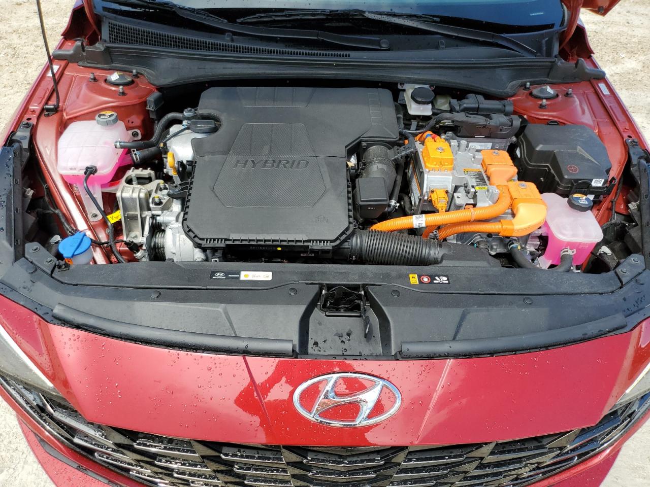 2023 Hyundai Elantra Limited VIN: KMHLN4AJ4PU037645 Lot: 68065434