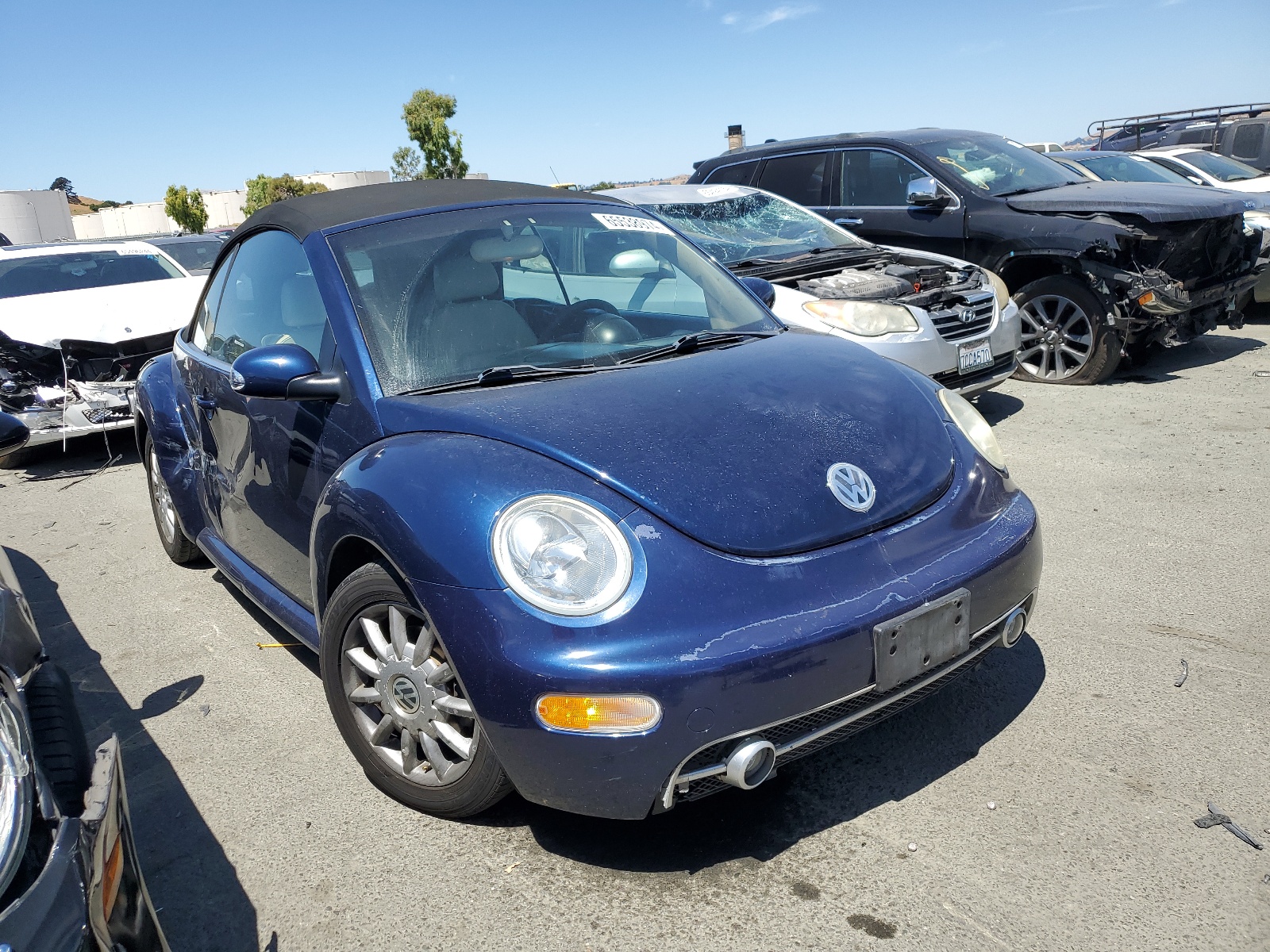 3VWCM31YX5M317275 2005 Volkswagen New Beetle Gls