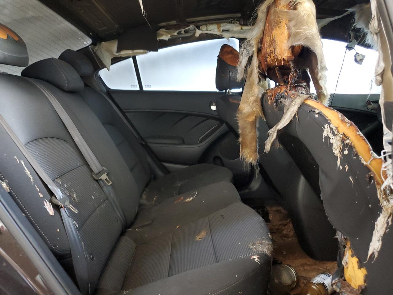 2018 Kia Forte Lx VIN: 3KPFK4A7XJE215840 Lot: 68503334