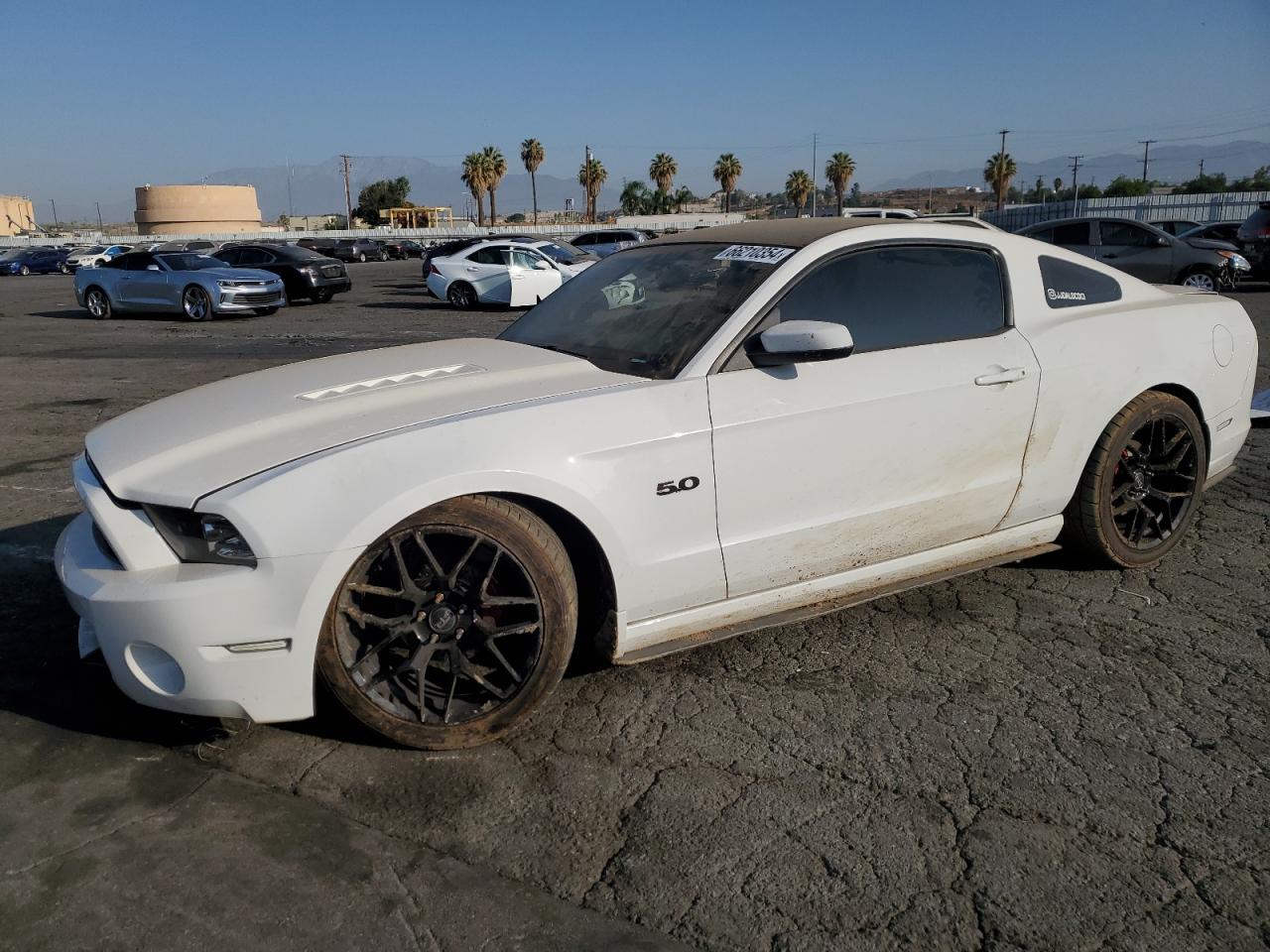 1ZVBP8CF1E5288833 2014 Ford Mustang Gt