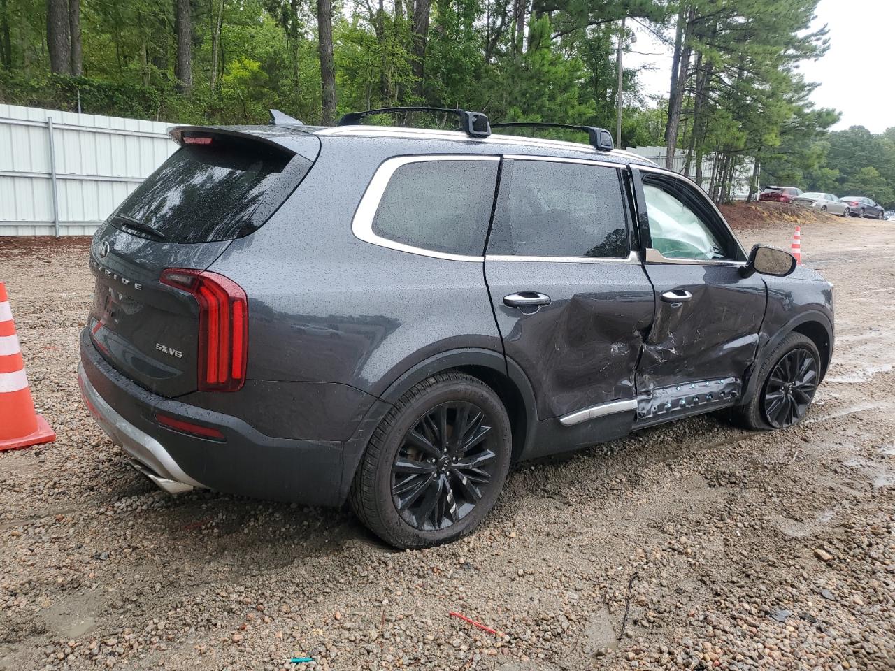 2020 Kia Telluride Sx VIN: 5XYP5DHC0LG031401 Lot: 65887724