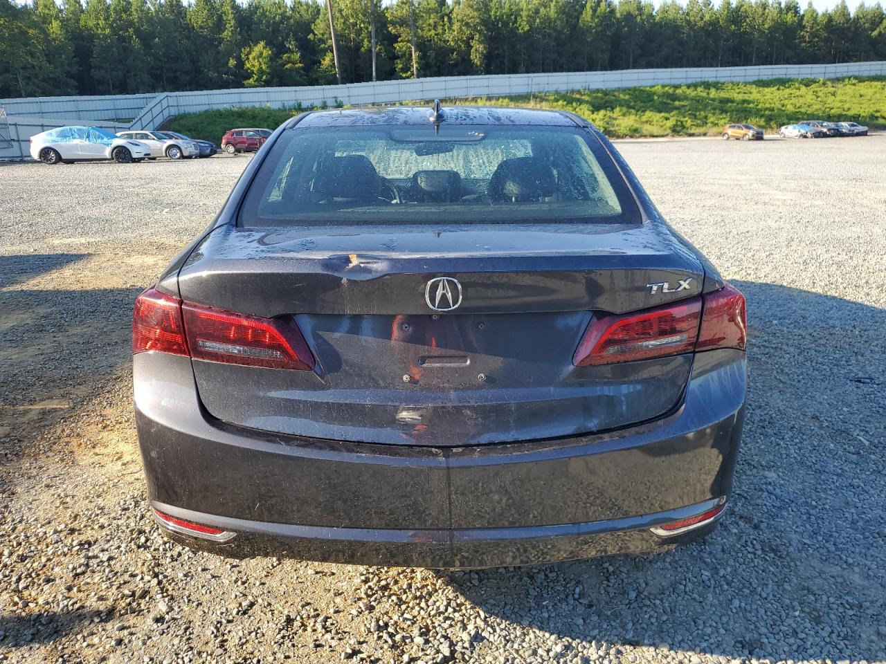 19UUB1F55GA006032 2016 Acura Tlx Tech