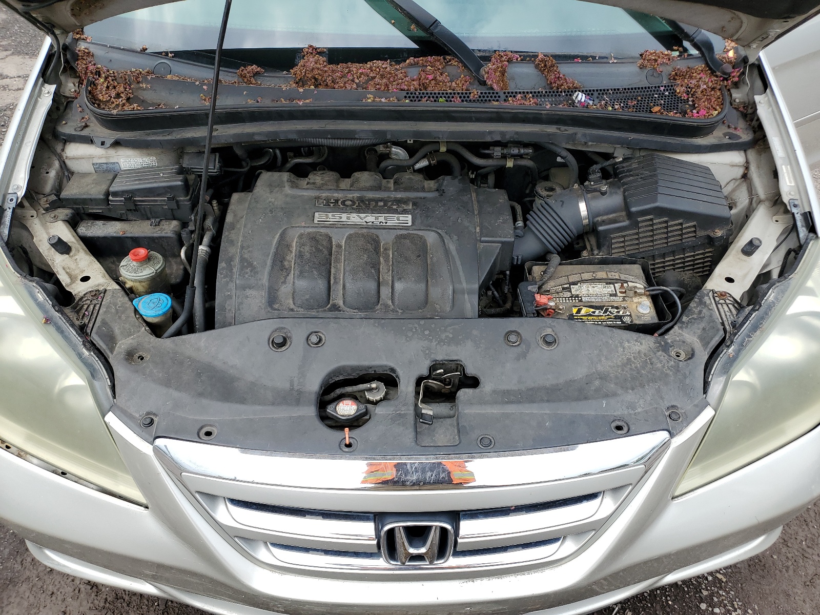 5FNRL38647B444566 2007 Honda Odyssey Exl