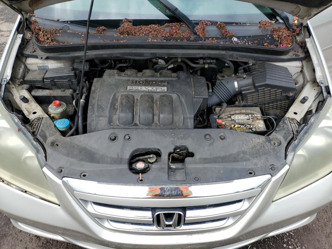 2007 Honda Odyssey Exl VIN: 5FNRL38647B444566 Lot: 66422014