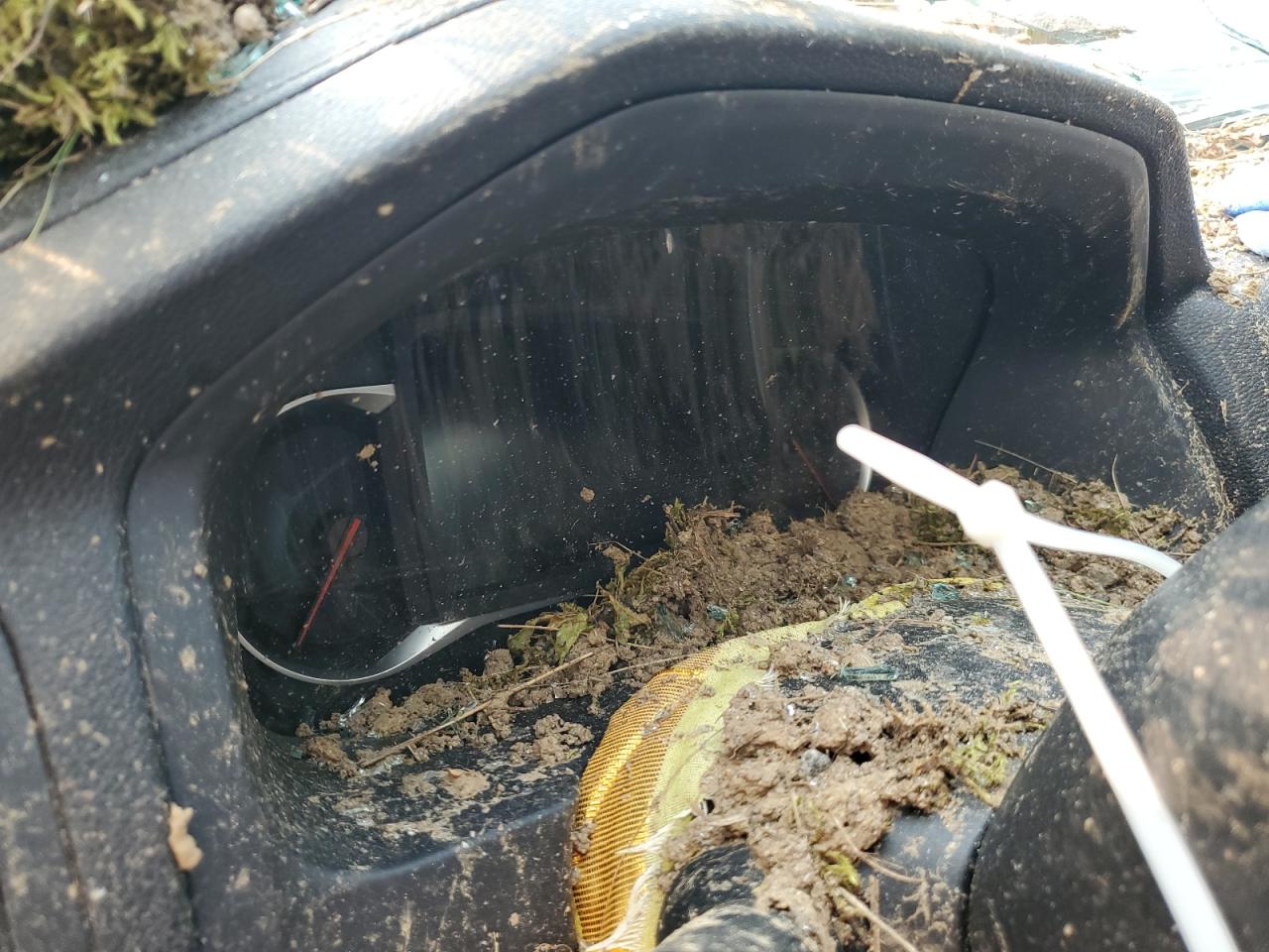 2019 Honda Pilot Exl VIN: 5FNYF6H77KB500473 Lot: 67294724