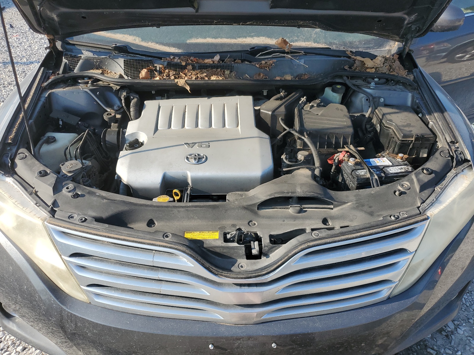 4T3ZK11A79U004568 2009 Toyota Venza