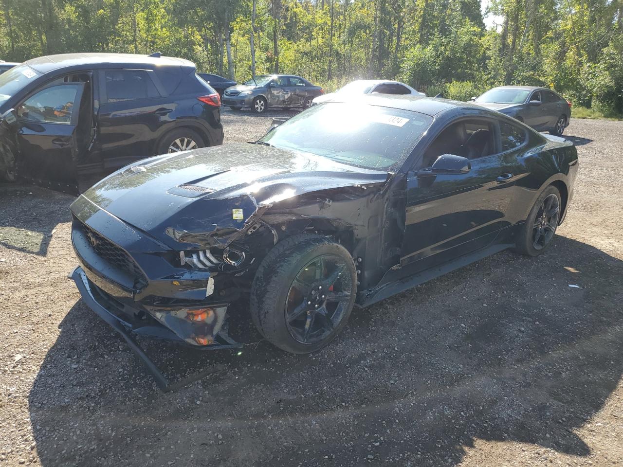 2020 Ford Mustang VIN: 1FA6P8TH4L5140152 Lot: 67320324