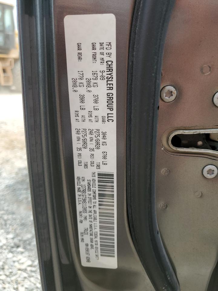 2010 Dodge Ram 1500 VIN: 1D7RB1GT9AS112055 Lot: 66423684