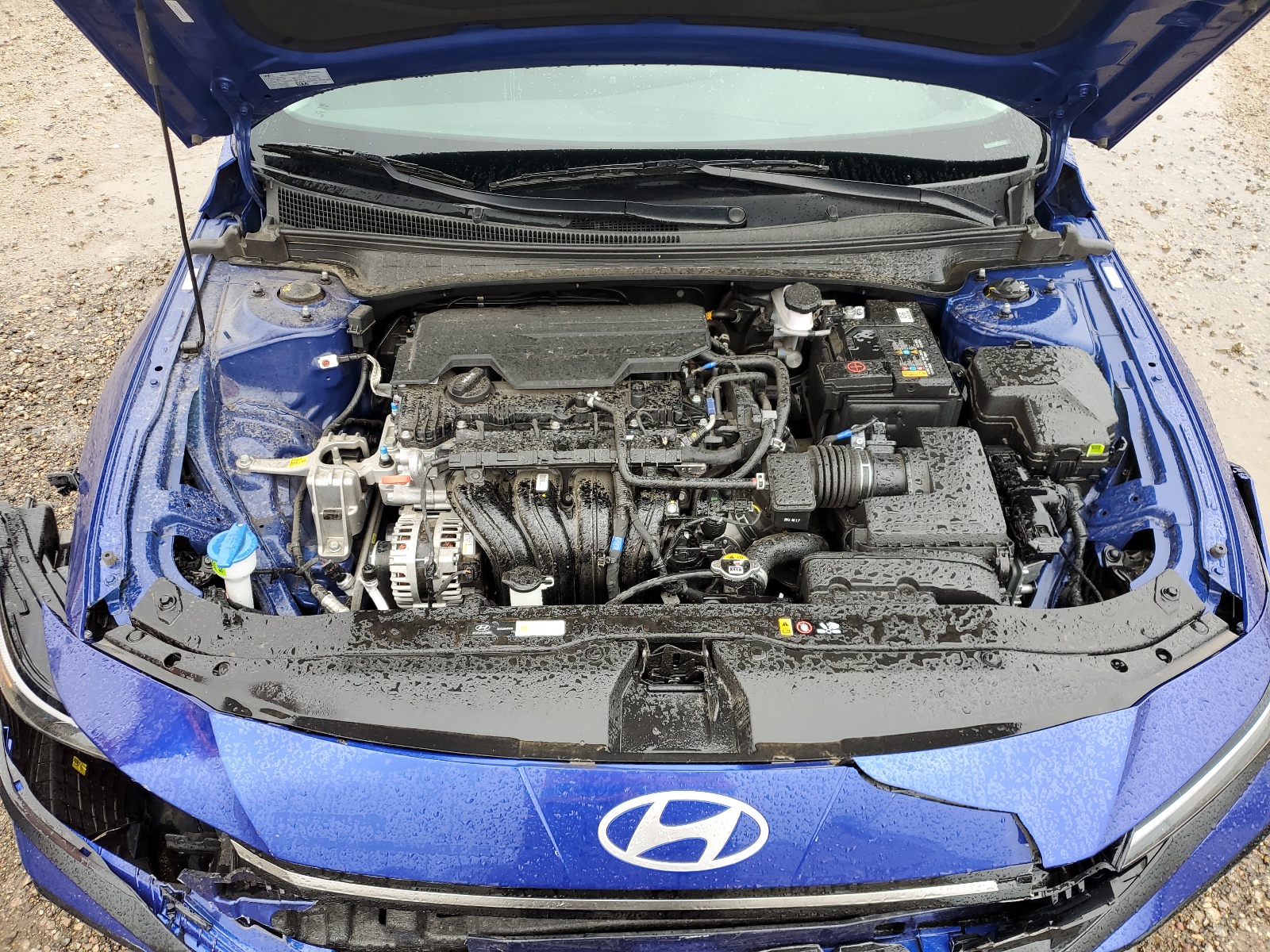 KMHLS4DG0RU647117 2024 Hyundai Elantra Sel