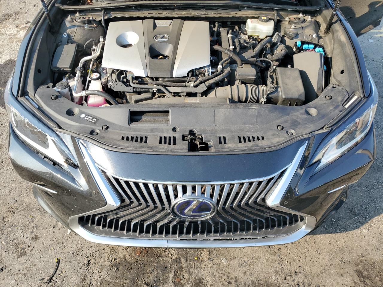 2021 Lexus Es 300H Luxury VIN: 58AEA1C16MU013111 Lot: 64698124