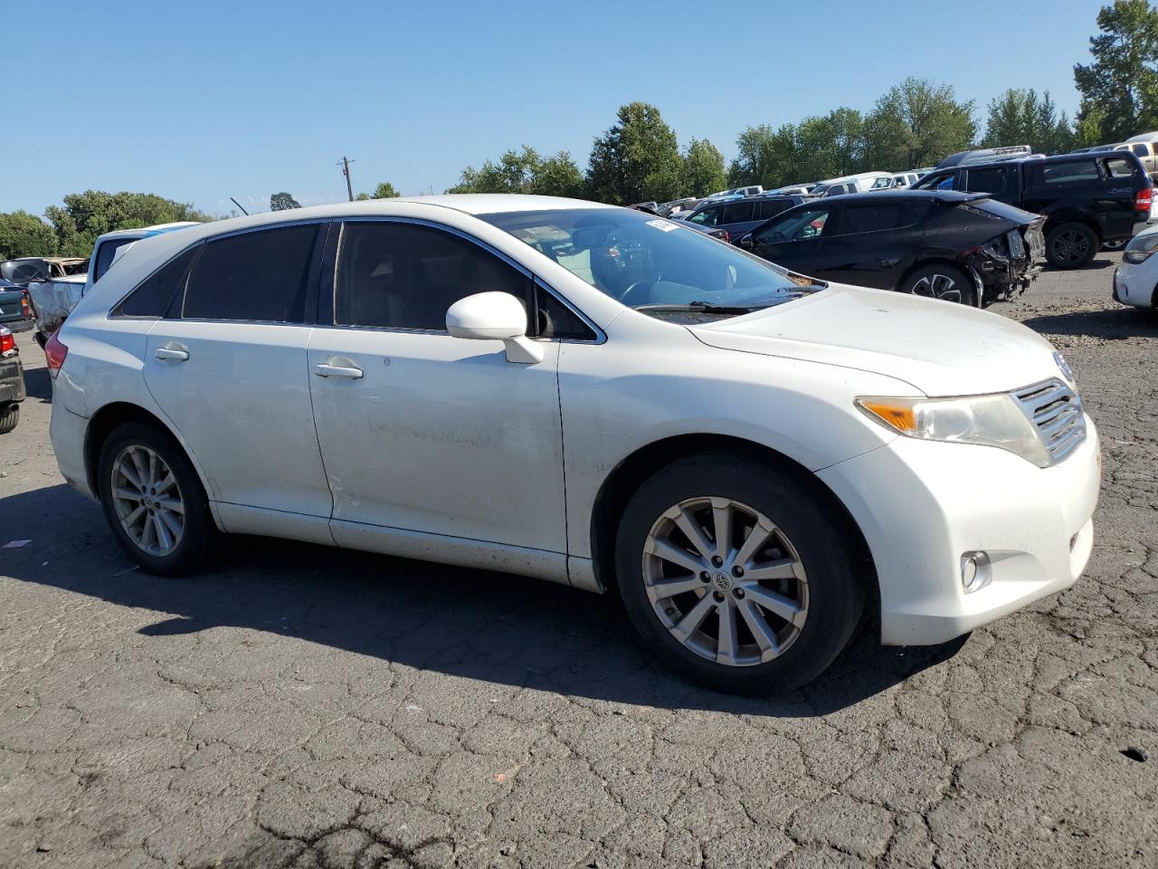 2009 Toyota Venza VIN: 4T3BE11A59U006604 Lot: 66246404