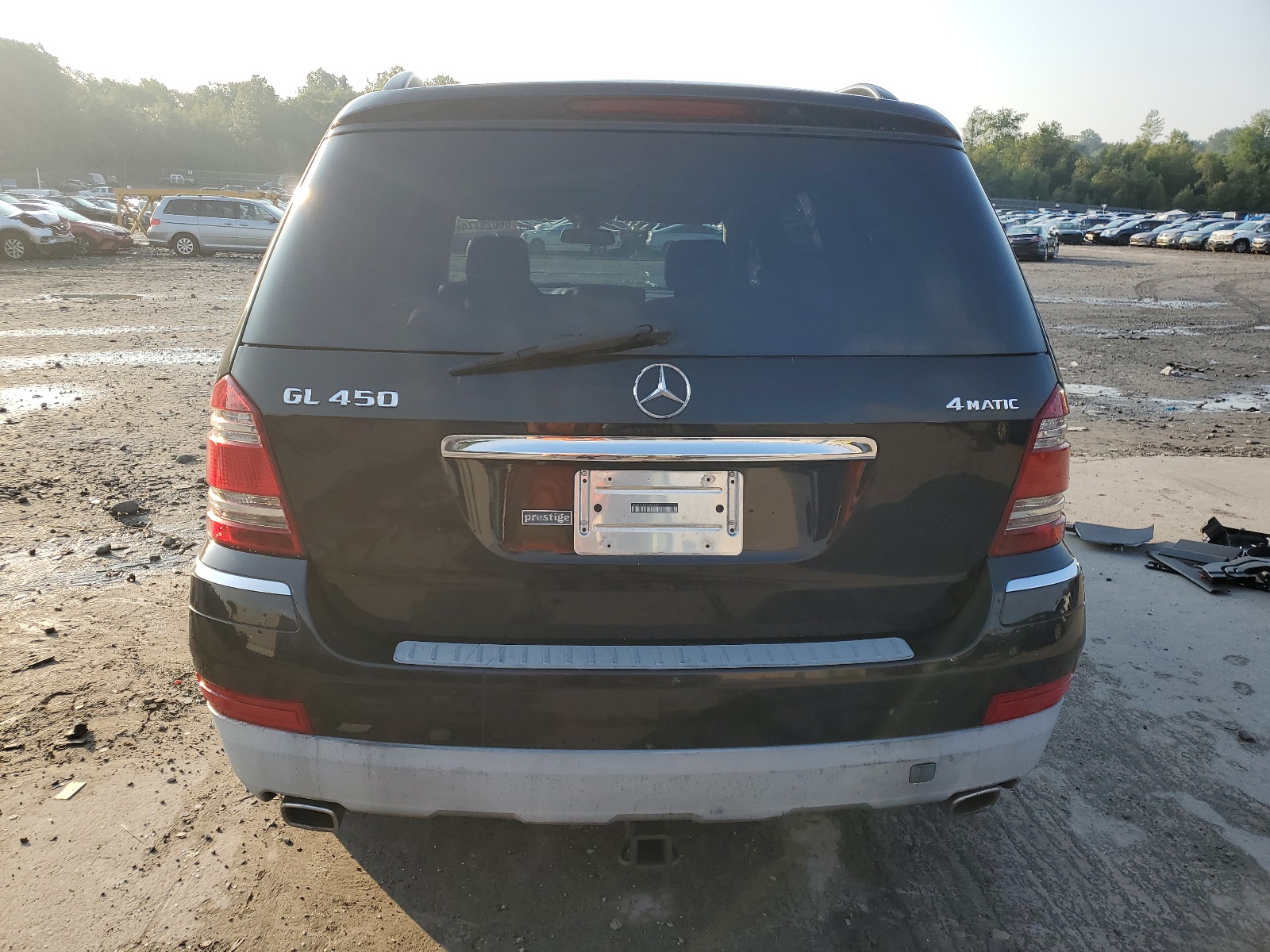 4JGBF71EX9A516394 2009 Mercedes-Benz Gl 450 4Matic