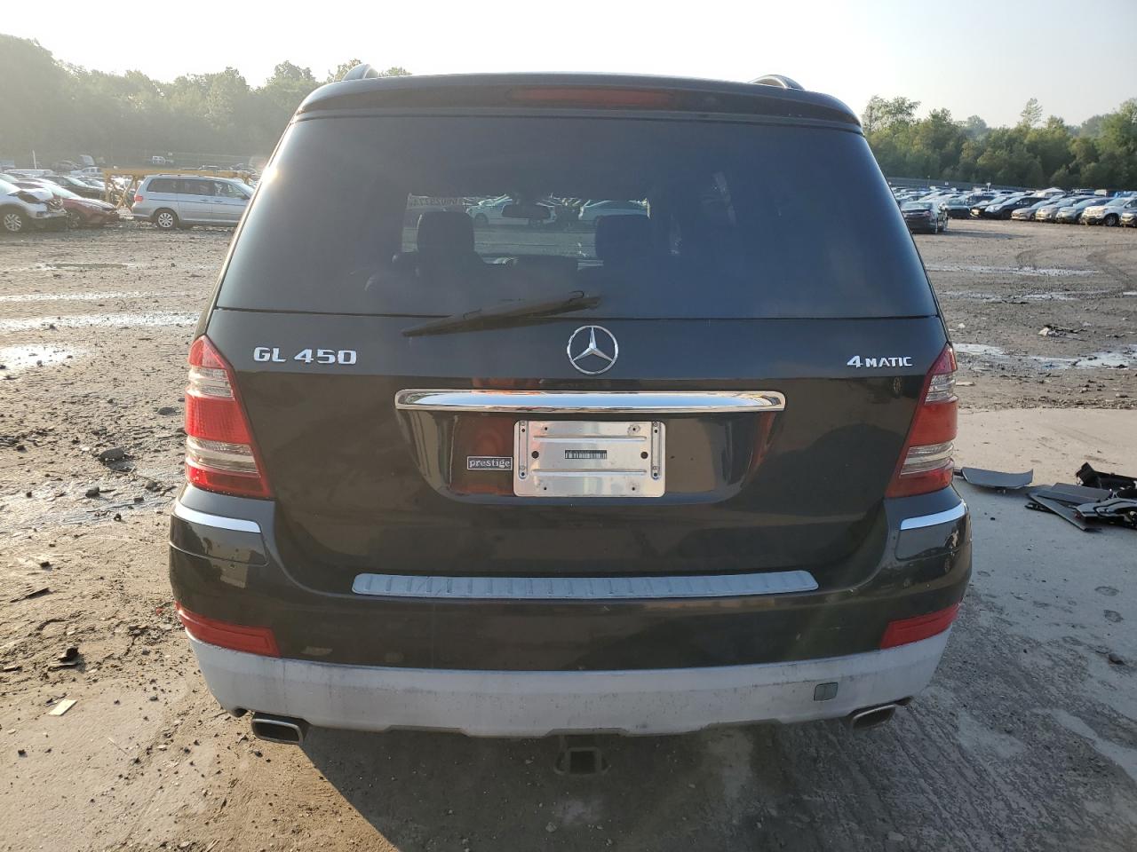 2009 Mercedes-Benz Gl 450 4Matic VIN: 4JGBF71EX9A516394 Lot: 66029774