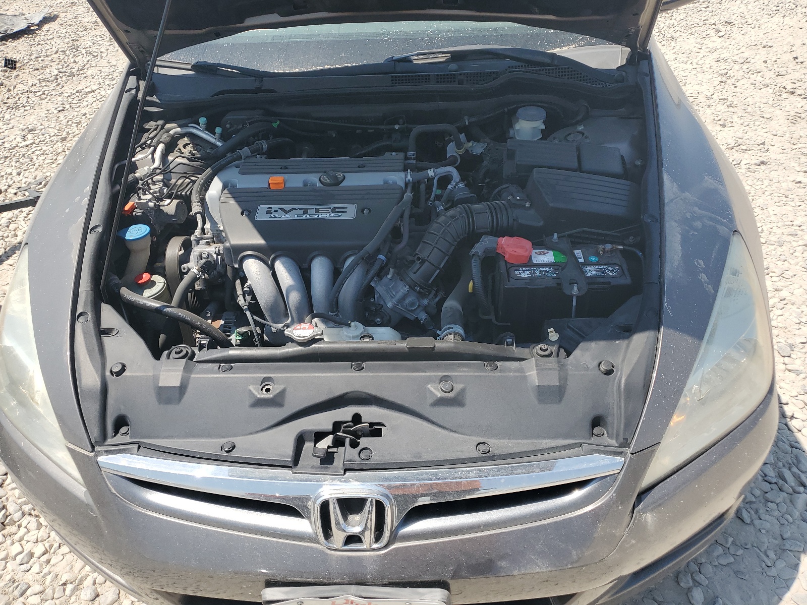 1HGCM56806A172237 2006 Honda Accord Ex