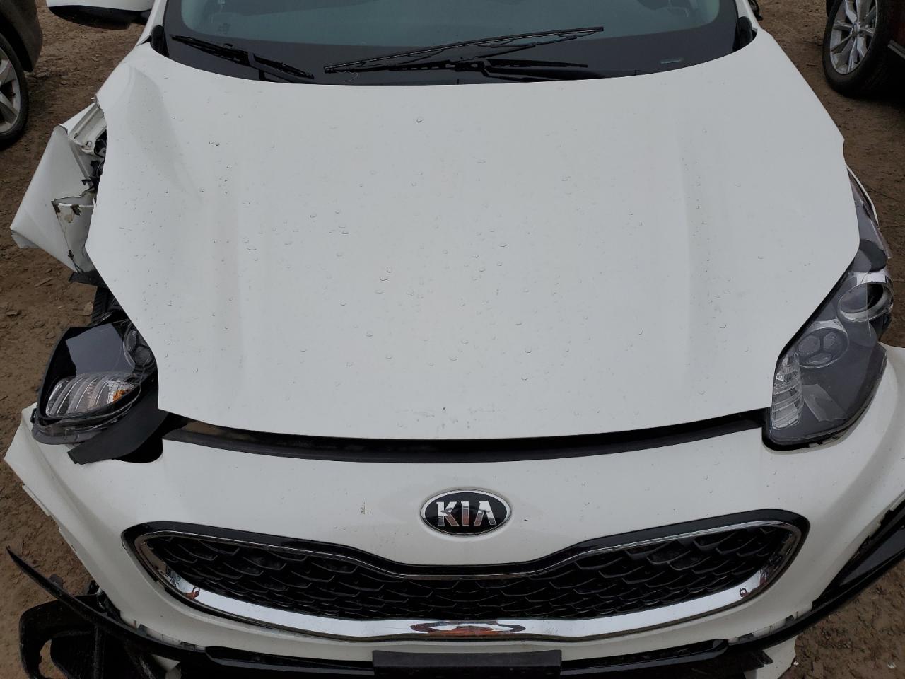 2022 Kia Sportage Lx VIN: KNDPM3AC8N7955351 Lot: 65753294