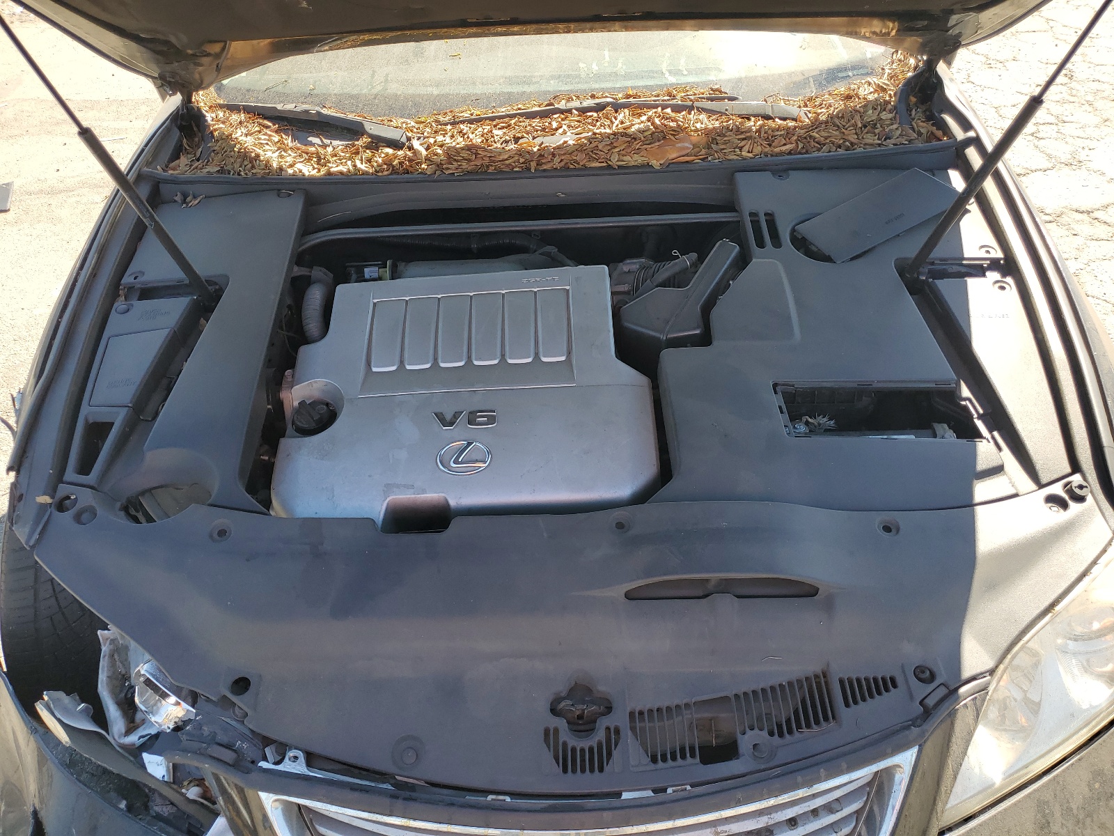 JTHBJ46G782236788 2008 Lexus Es 350