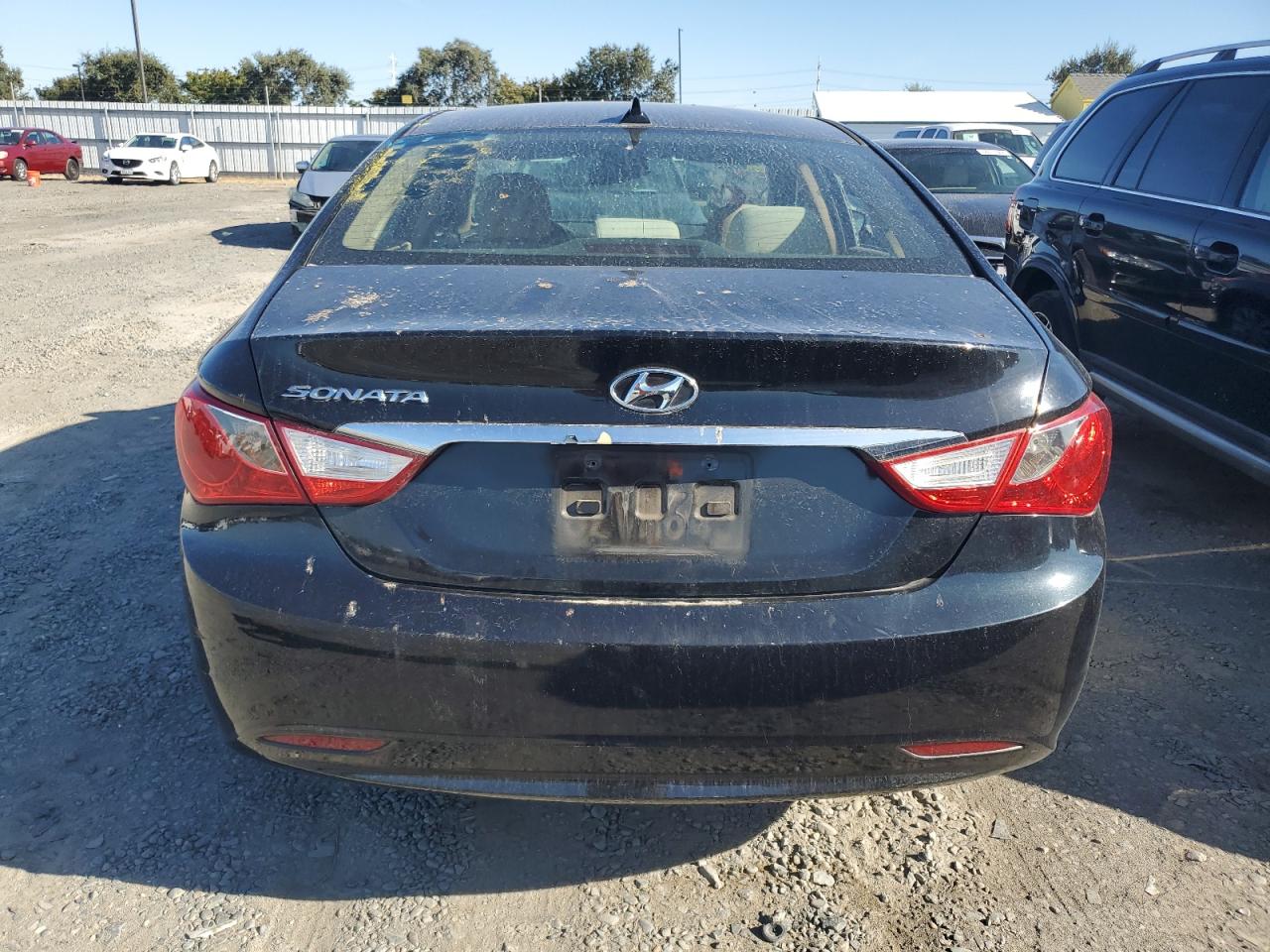 5NPEB4AC4DH559821 2013 Hyundai Sonata Gls